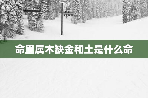 命里属木缺金和土是什么命