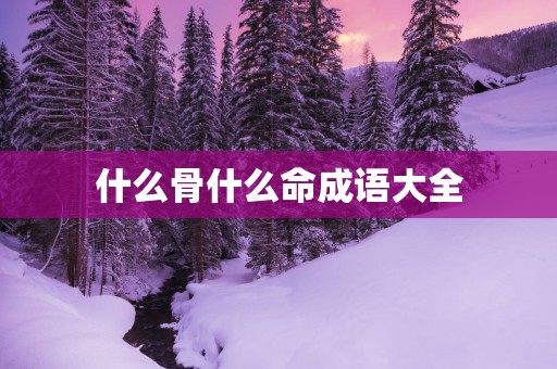 什么骨什么命成语大全