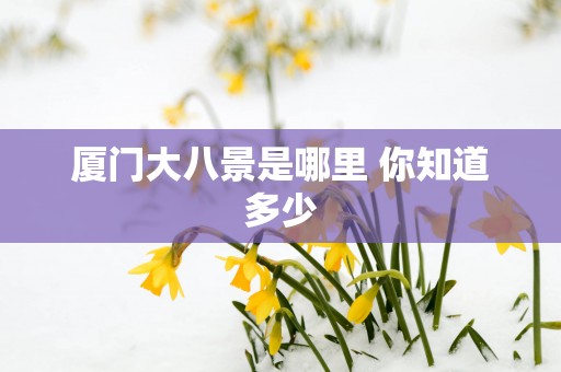 厦门大八景是哪里 你知道多少
