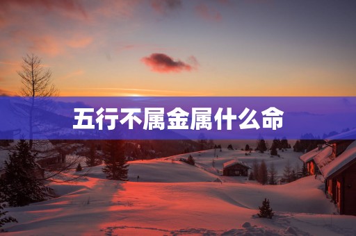 五行不属金属什么命