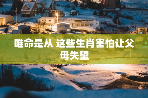 唯命是从 这些生肖害怕让父母失望