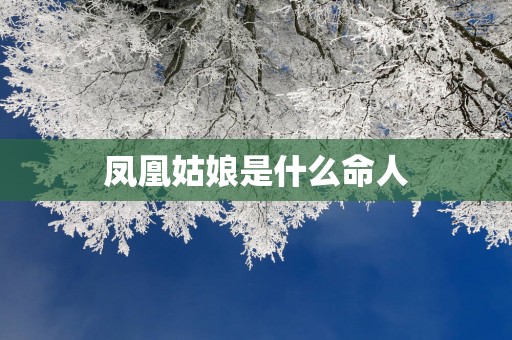 凤凰姑娘是什么命人