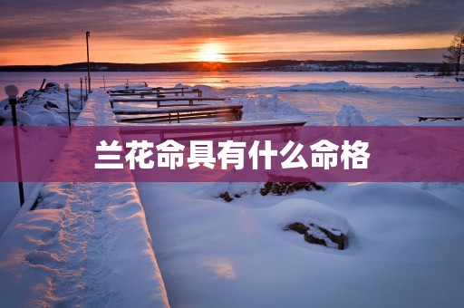 兰花命具有什么命格