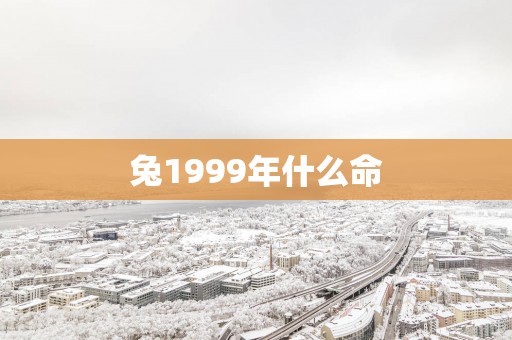 兔1999年什么命
