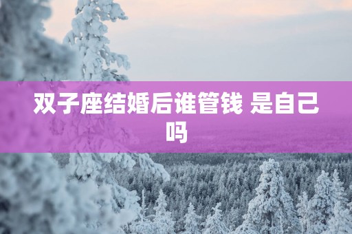 双子座结婚后谁管钱 是自己吗