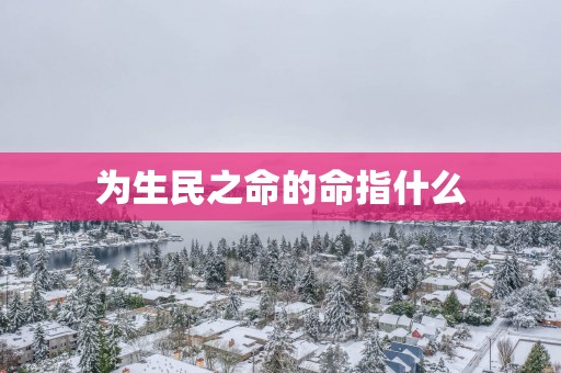 为生民之命的命指什么