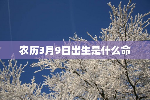 农历3月9日出生是什么命