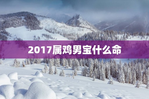 2017属鸡男宝什么命