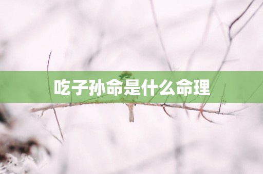 吃子孙命是什么命理