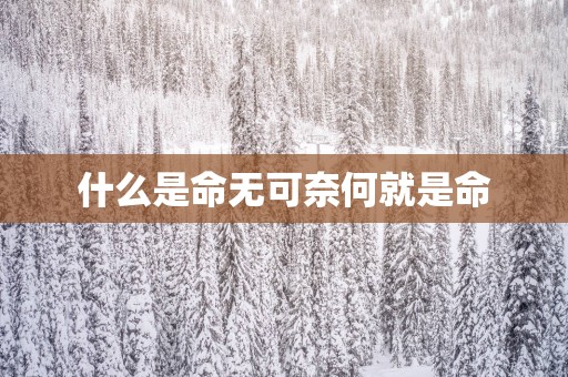 什么是命无可奈何就是命