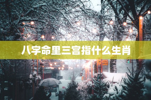 八字命里三宫指什么生肖