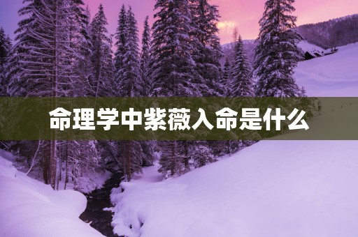 命理学中紫薇入命是什么