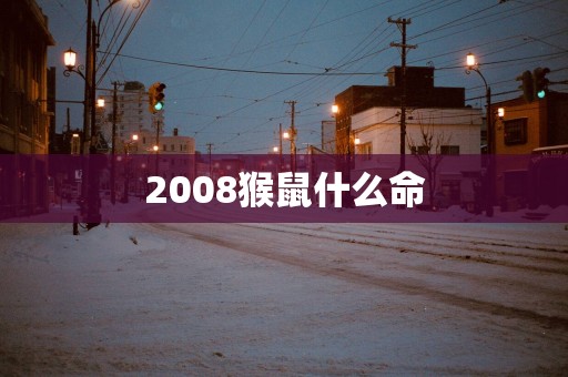 2008猴鼠什么命