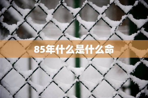85年什么是什么命
