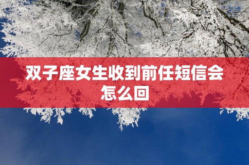 双子座女生收到前任短信会怎么回