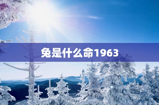 兔是什么命1963