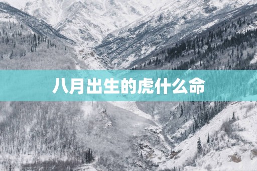 八月出生的虎什么命