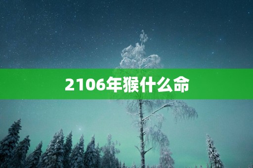 2106年猴什么命