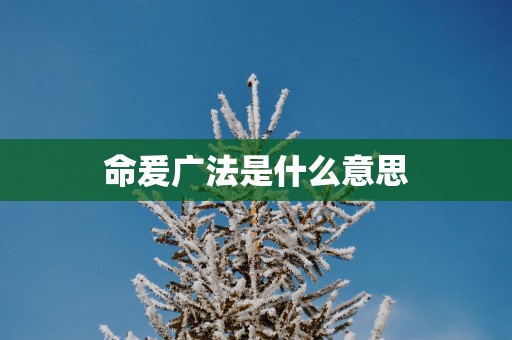 命爰广法是什么意思