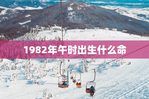 1982年午时出生什么命