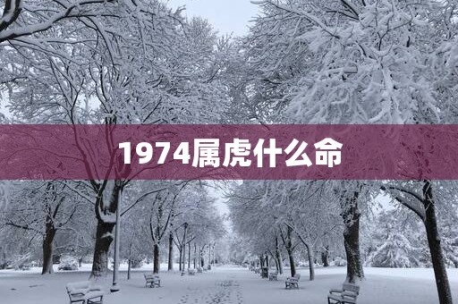 1974属虎什么命