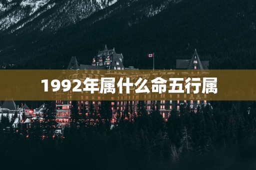 1992年属什么命五行属