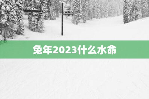 蛇年2025什么水命
