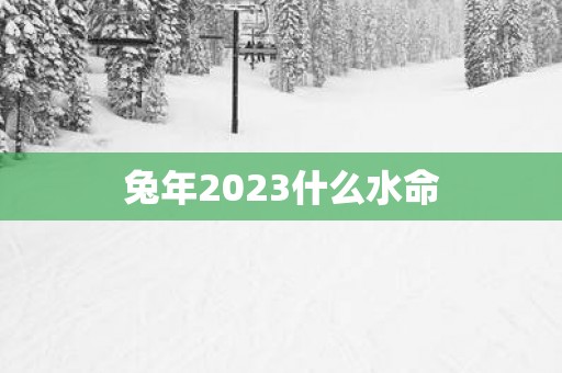 兔年2023什么水命