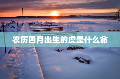农历四月出生的虎是什么命