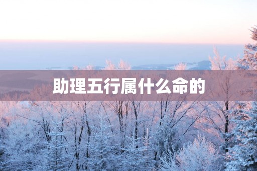 助理五行属什么命的