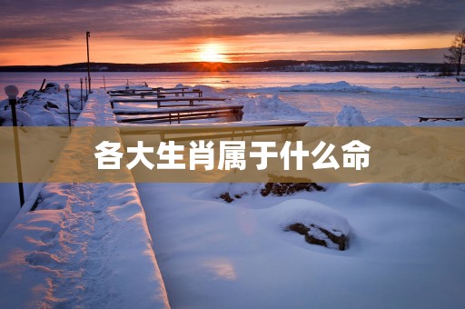 各大生肖属于什么命