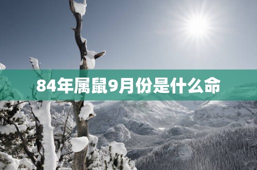 84年属鼠9月份是什么命