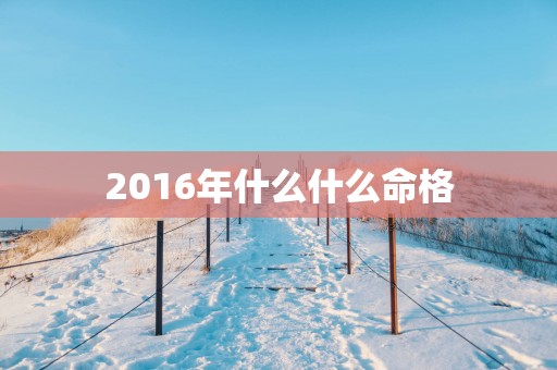 2016年什么什么命格