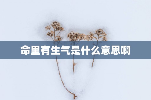 命里有生气是什么意思啊