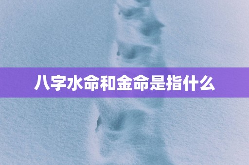 八字水命和金命是指什么