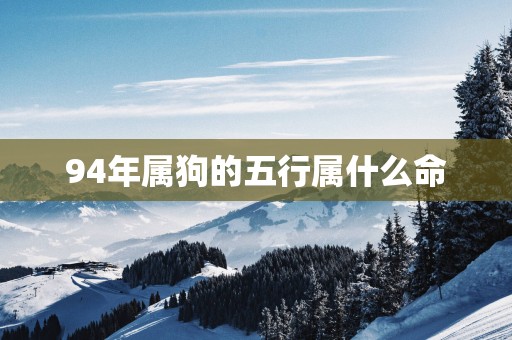 94年属狗的五行属什么命