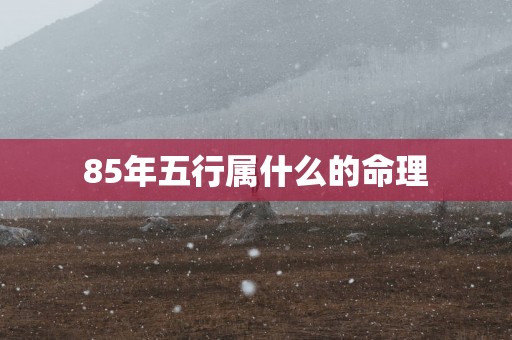 85年五行属什么的命理