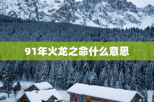 91年火龙之命什么意思