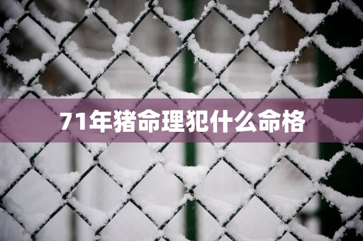 71年猪命理犯什么命格
