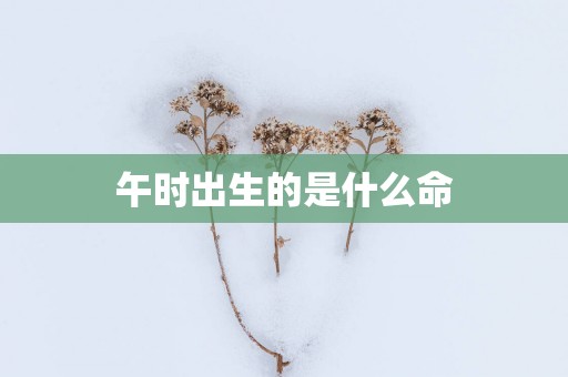 午时出生的是什么命