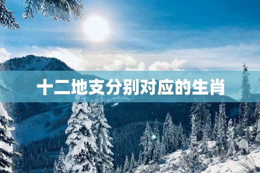 十二地支分别对应的生肖