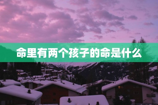 命里有两个孩子的命是什么