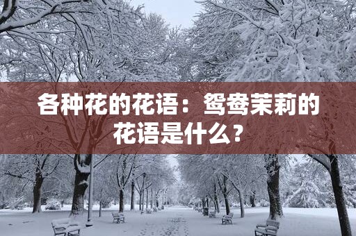 各种花的花语：鸳鸯茉莉的花语是什么？