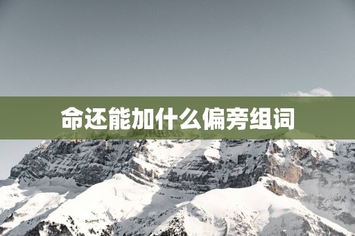 命还能加什么偏旁组词