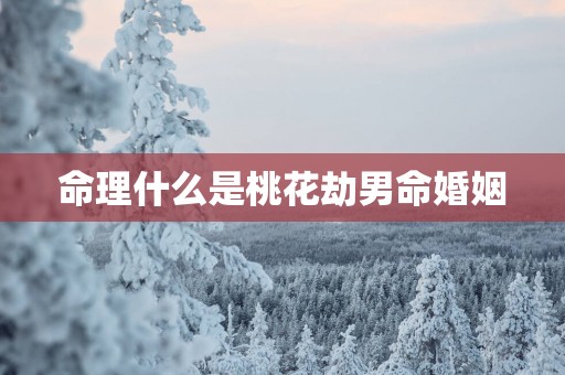 命理什么是桃花劫男命婚姻