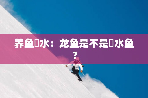 养鱼風水：龙鱼是不是風水鱼？