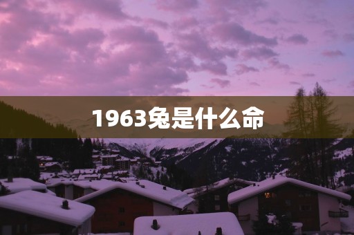 1963兔是什么命