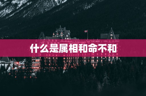 什么是属相和命不和
