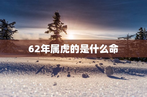 62年属虎的是什么命