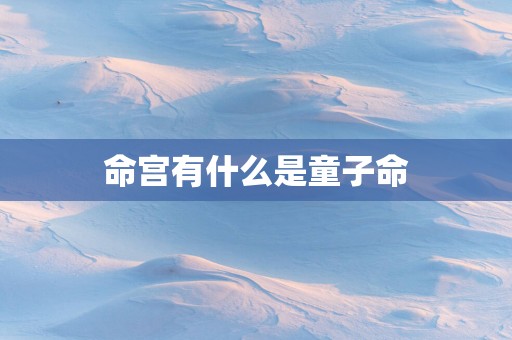 命宫有什么是童子命